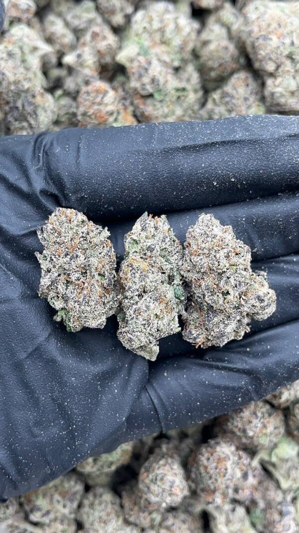Cotton Candy Gelato