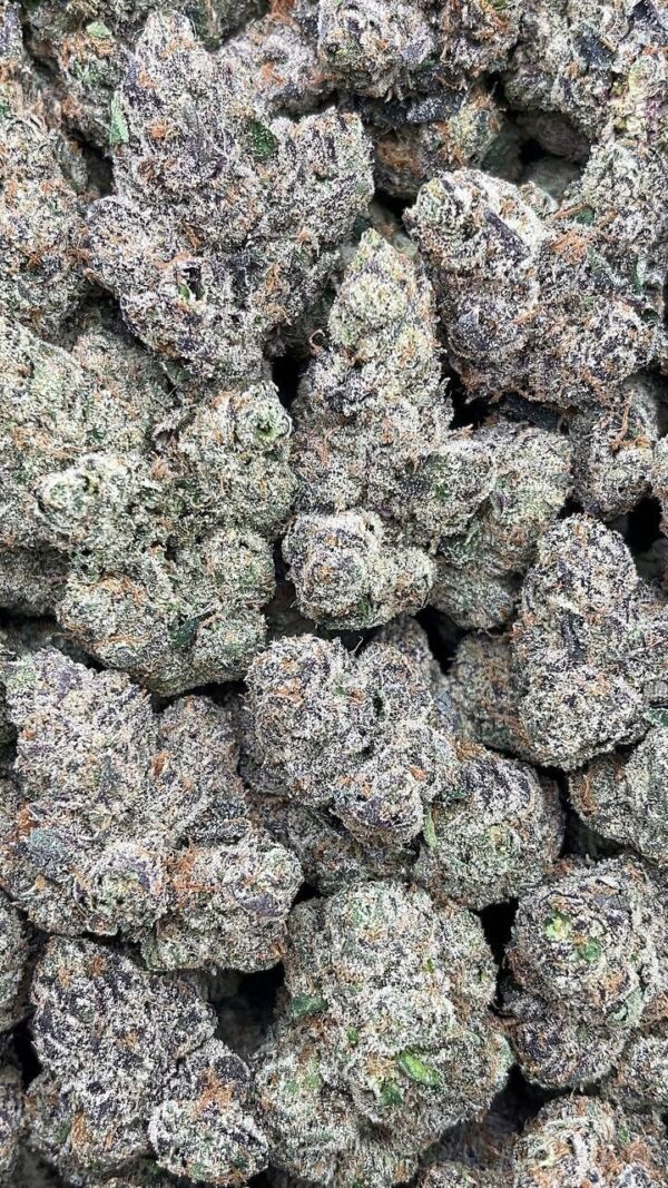 Purple Aurora