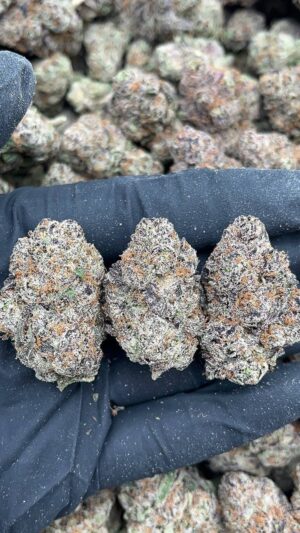 LA Confidential