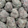 Lava Dawg