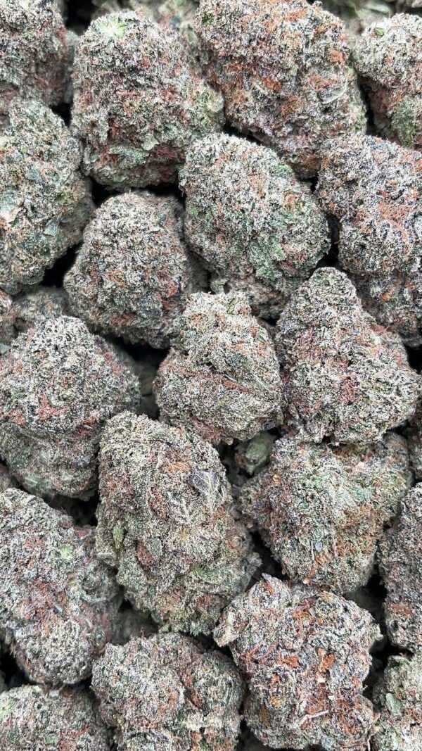 Lava Dawg