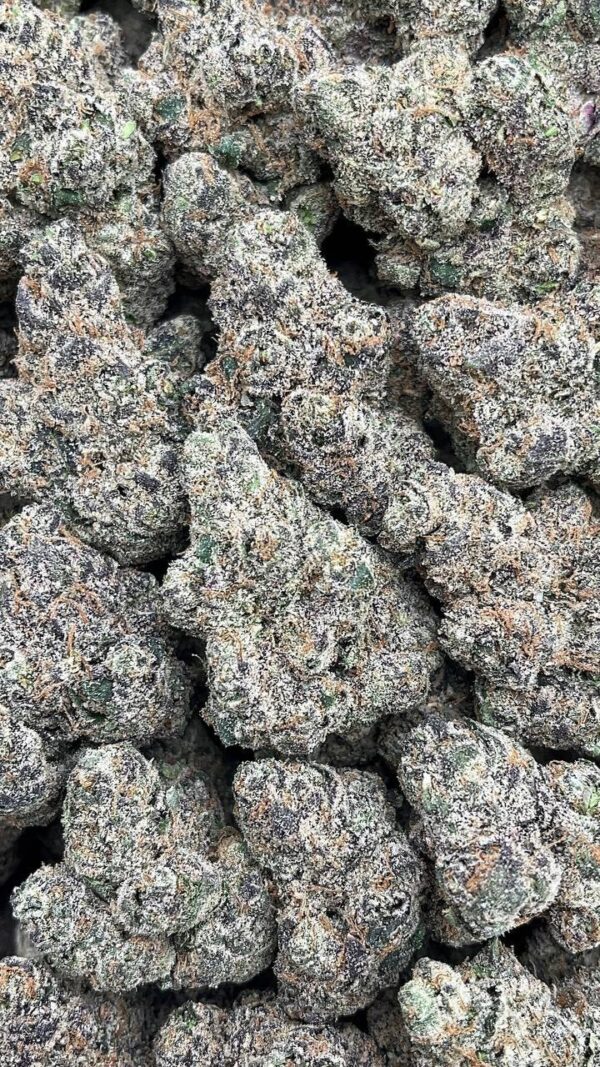 Gelato 33