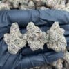 Gelato 33