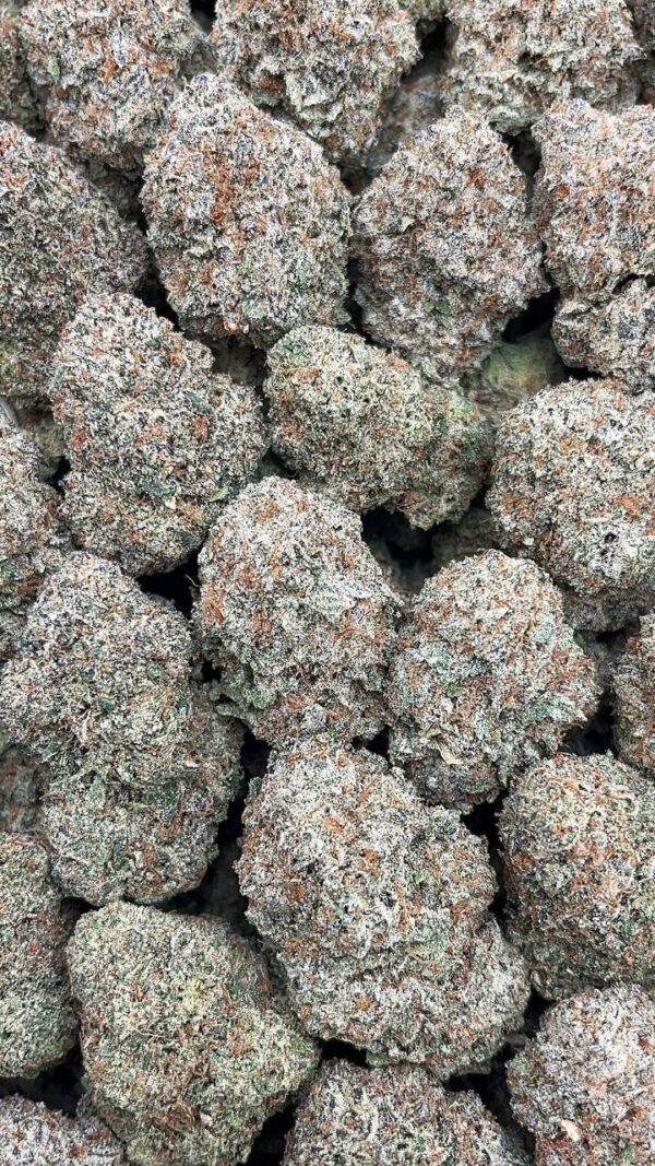 White Gummy