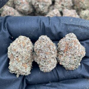 White Gummy