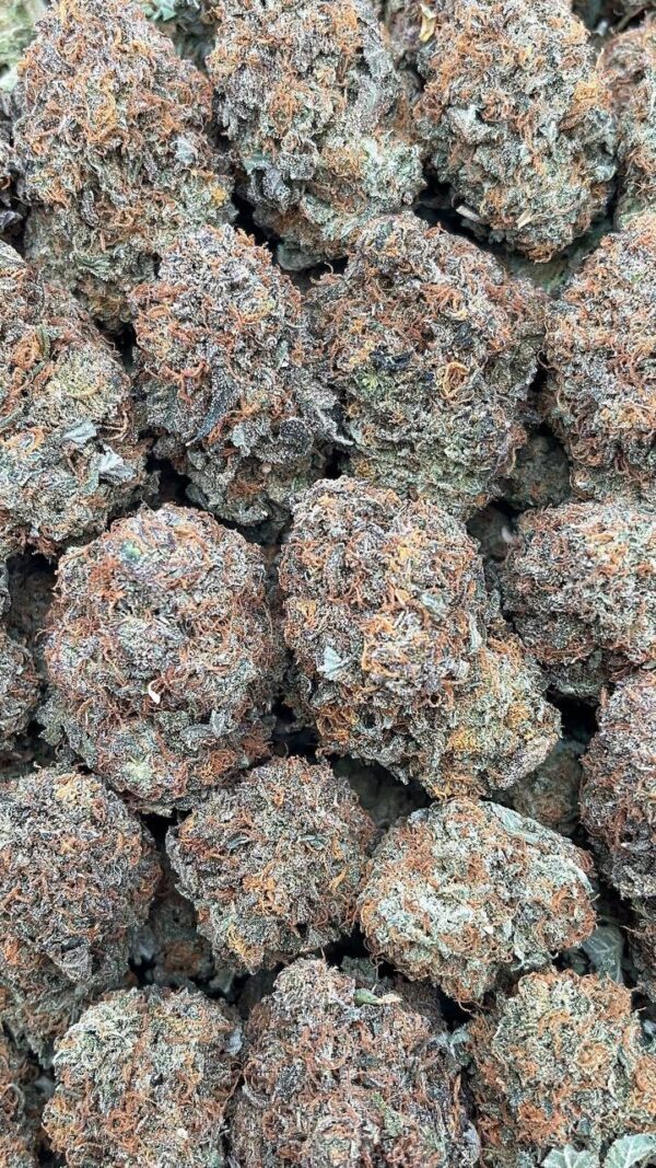 Platinum Bubba