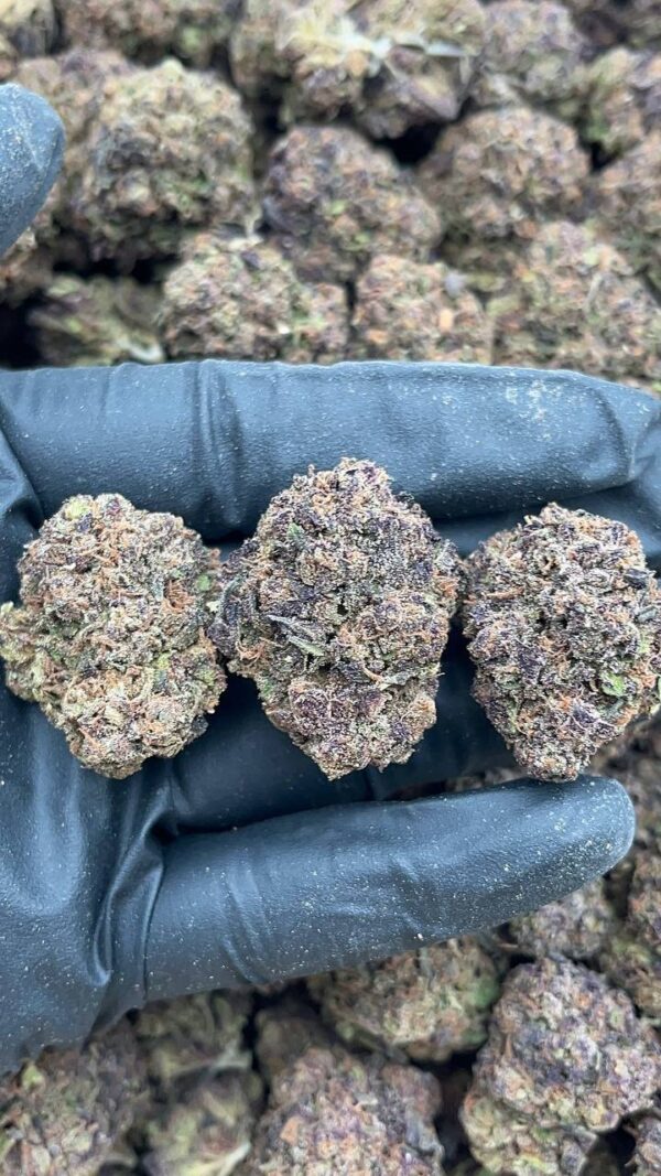 Tristar Pebbles