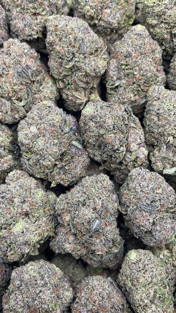 Swiss Cheese