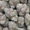 Bodega Bubblegum
