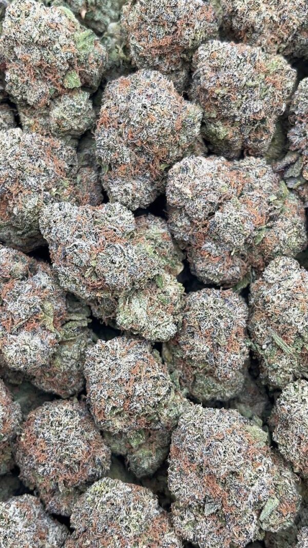 Bodega Bubblegum
