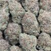 Pluto Kush