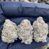 Pluto Kush