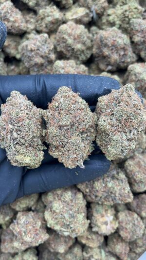 Blue Dreams