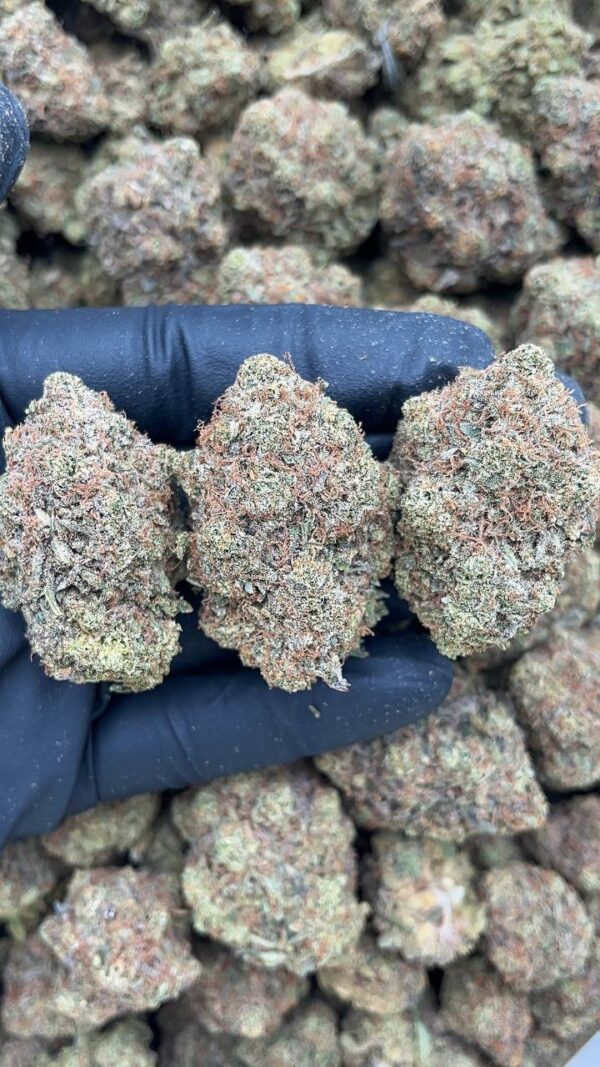 Blue Dreams