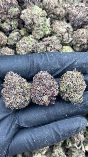 Gorilla glue