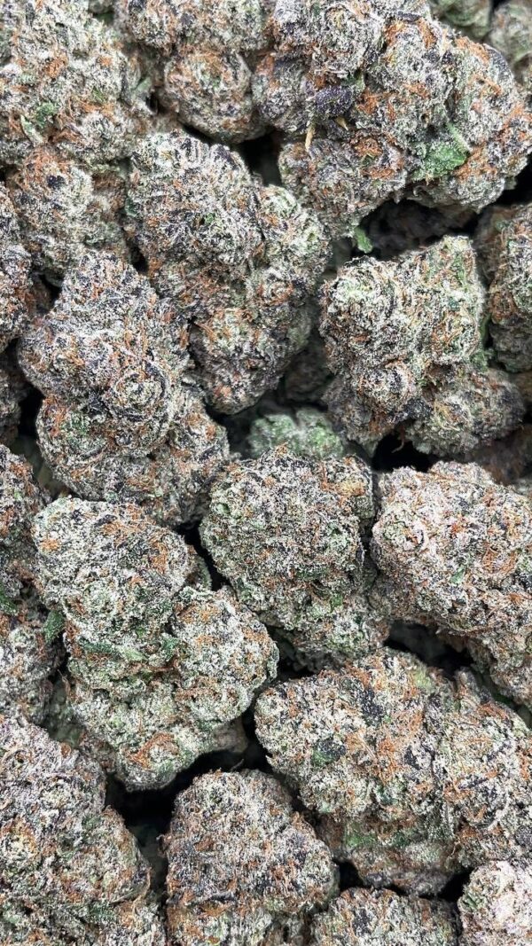 Pineapple Day Dream