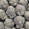 Purple punch