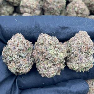 Purple punch