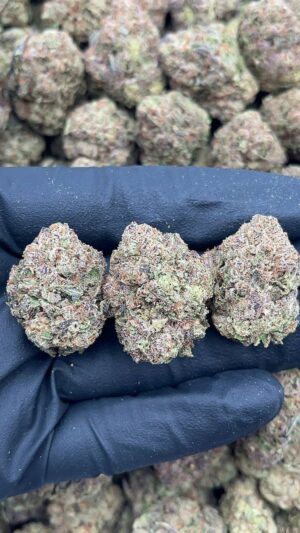 Purple punch