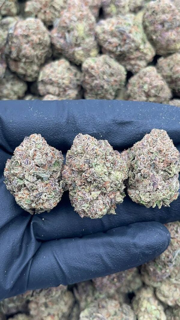 Purple punch
