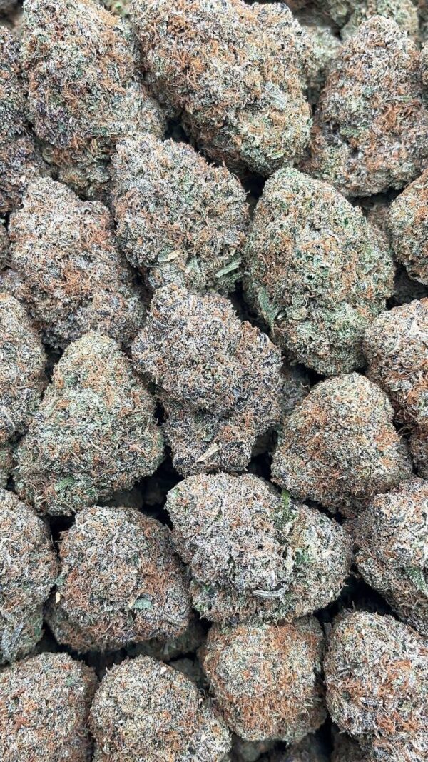 Durban poison
