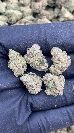Day Tripper Smalls