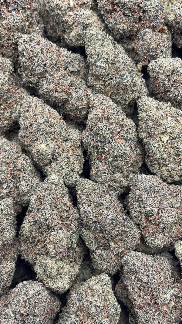 Sour OG