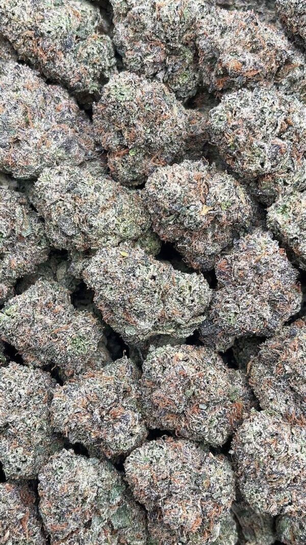 Candy Glue