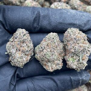 Candy Glue