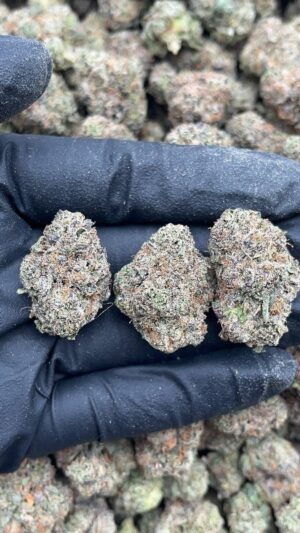 Candy Glue