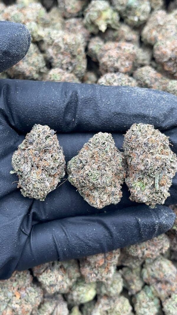Candy Glue