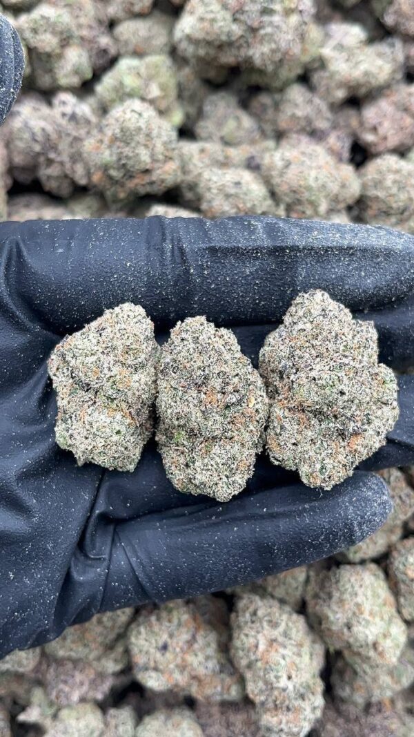 White OG