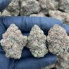 Khalifa Kush