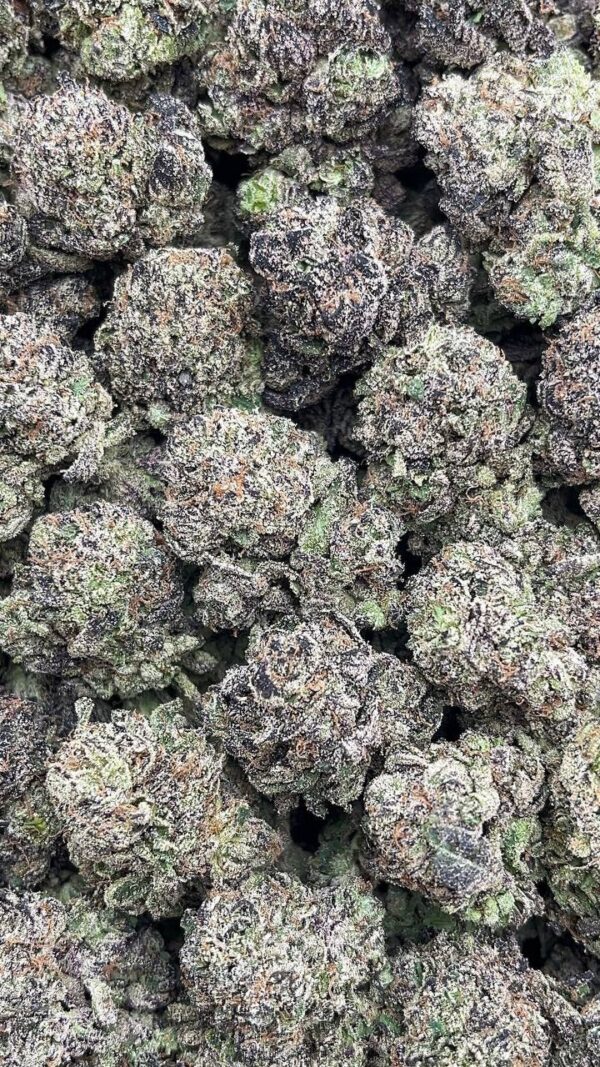 Blackberry kush