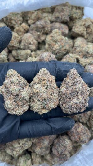 Og kush
