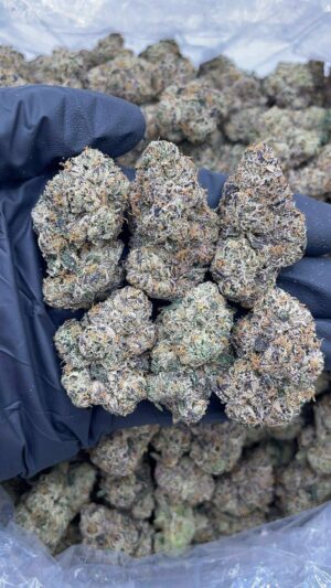 Plum Popperz