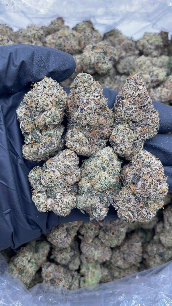 Plum Popperz