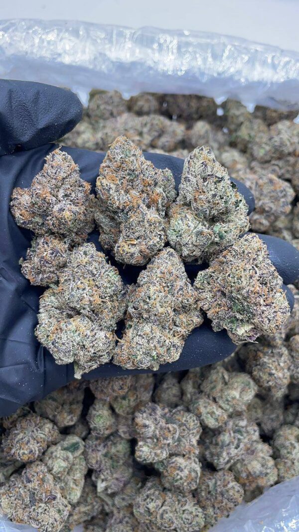 Purple Candy Runtz